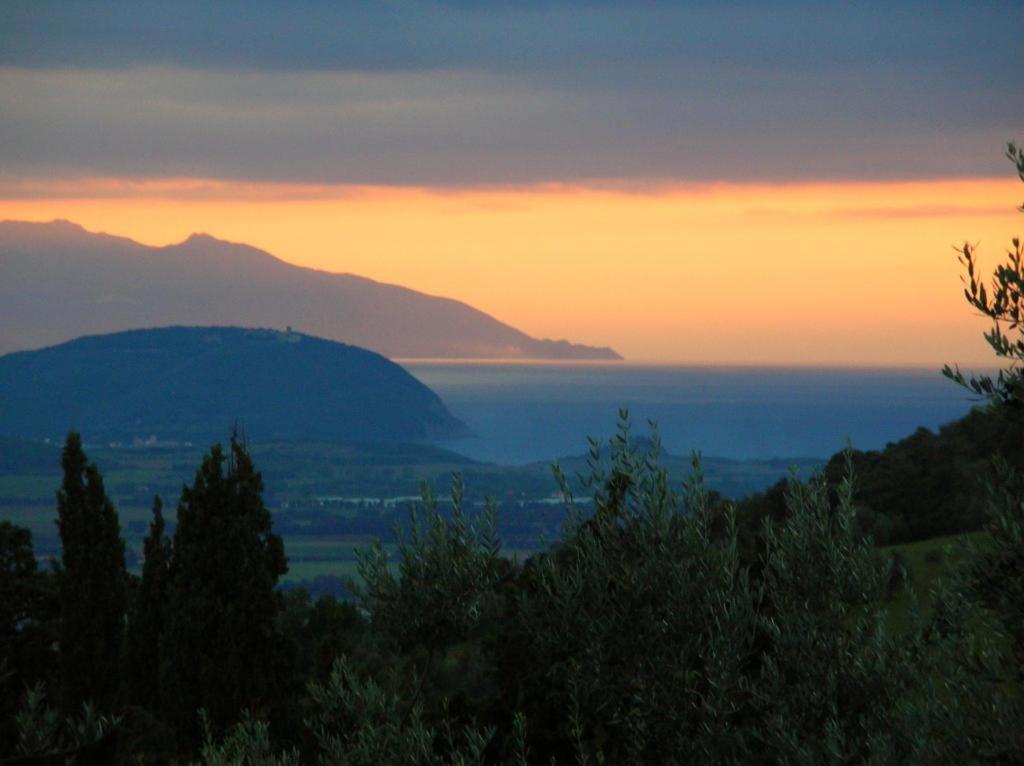 Divacamp Glamping Resort Campiglia Marittima Eksteriør bilde